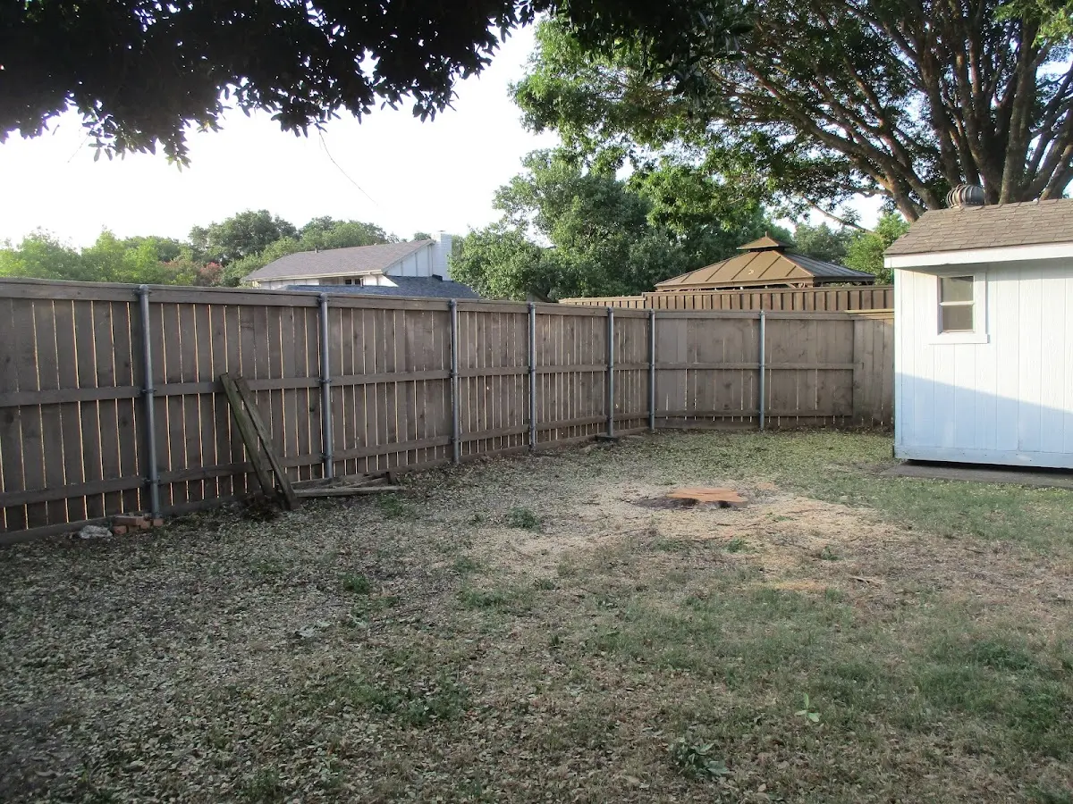 Cleared yard after professional tree removal in Spragueville