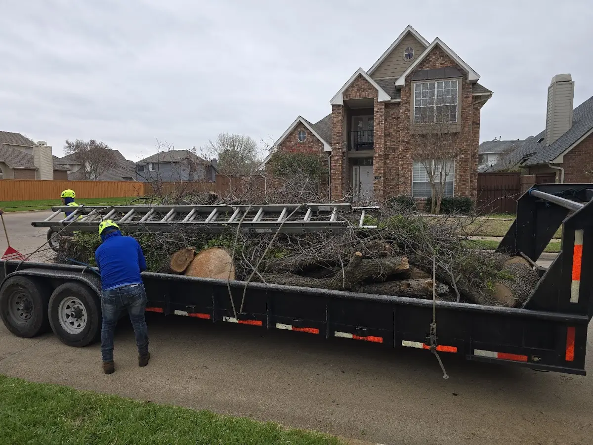 Expert Tree Fertilization with proper safety equipment in Spragueville